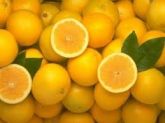 Óleo Essencial de Laranja doce- 5 frascos de 10 ml