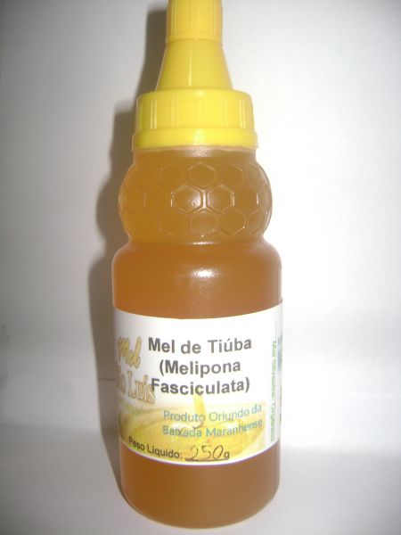 Mel de abelha sem ferrão tiúba ou uruçú 270g- Produto orgânico