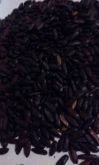 Cumaru (fava tonka)- 1kg